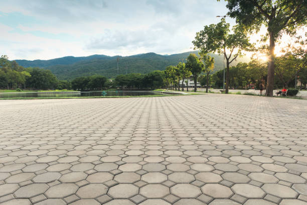 Best Professional Driveway Pavers  in Carlisle, PA